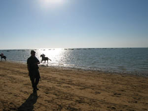 Sanlucar beach