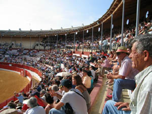 bull fighting spain