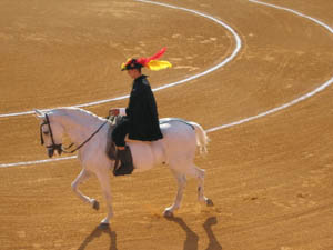 Andalucia bull fighting in Sanlucar de barrameda