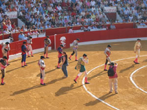 bull fighting in sanlucar