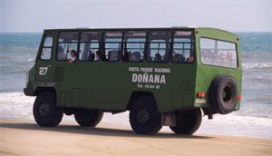 Donana National Park 4 wheel drive tours
