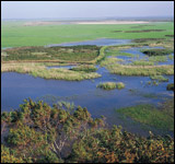 Donana National Park Picture